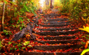 Autumn-steps